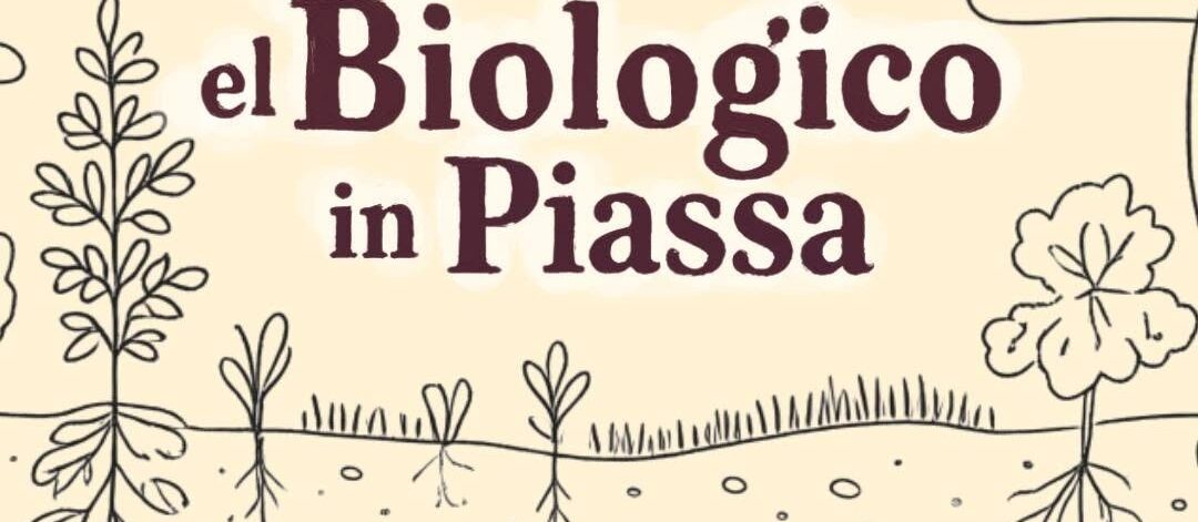 _Biologico in Piassa